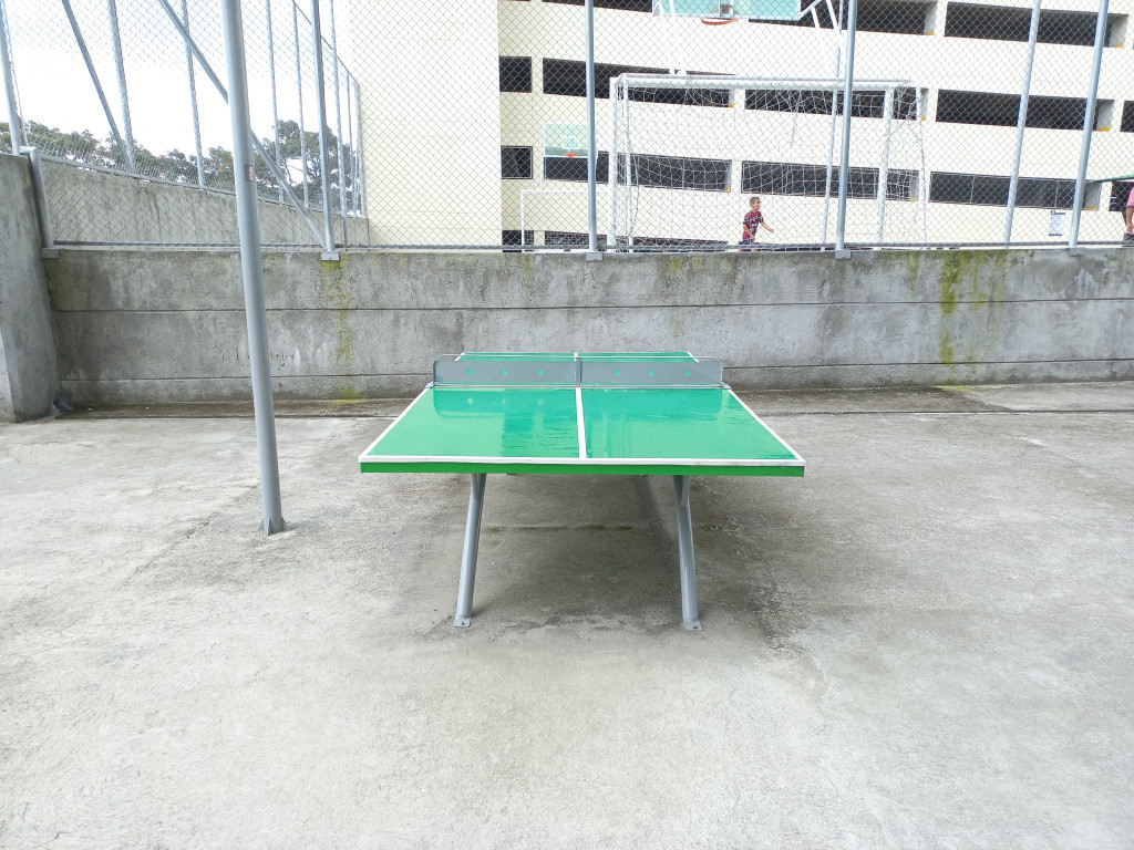 Apartamento En Arriendo - Flor Alba Campestre Piso 14, Ibagué