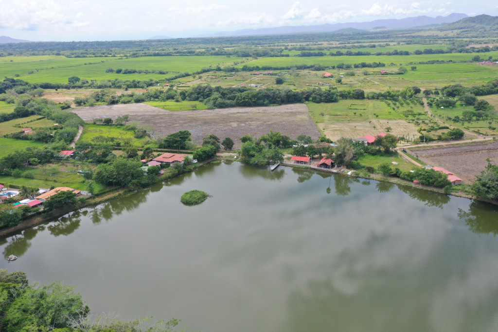 Lote En Venta - Condominio Campestre Ecolago, Ibagué