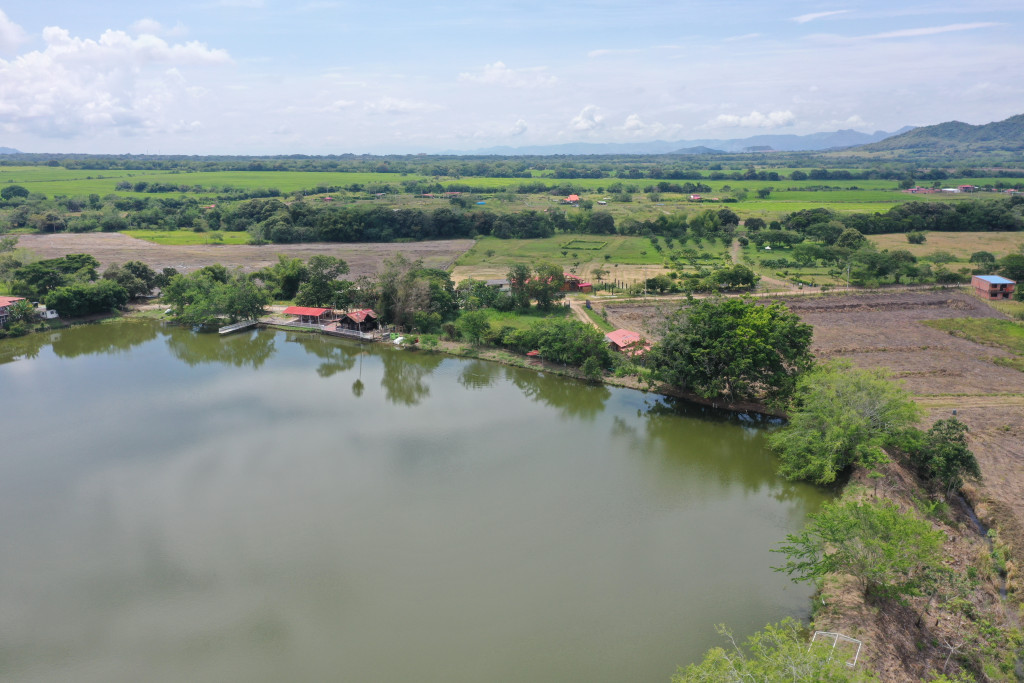 Lote En Venta - Condominio Campestre Ecolago, Ibagué