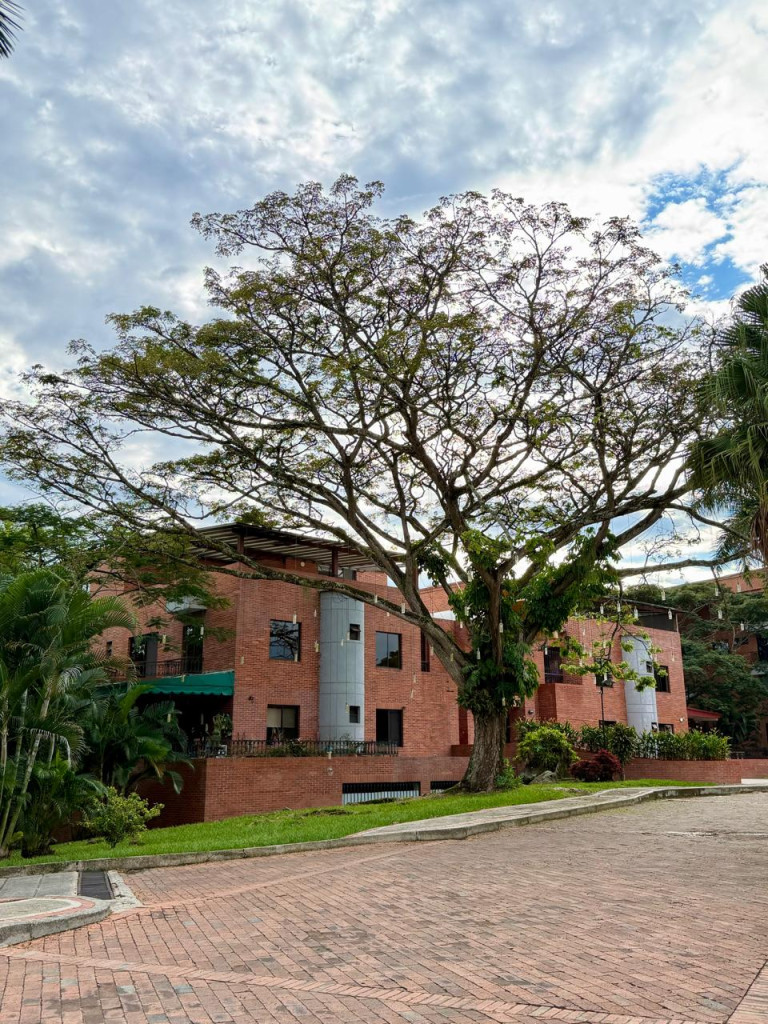 Apartamento En Venta - Terrazas Del Campestre Piso 3, Ibagué