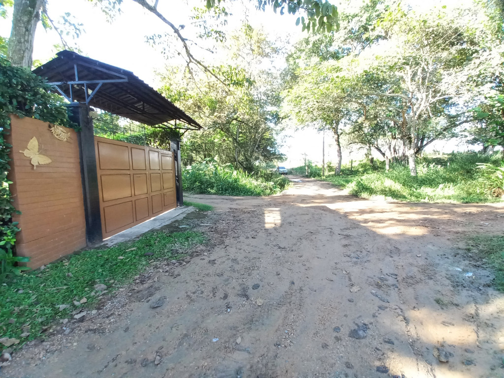 Casa En Venta - Villa Lorely- Aparco, Ibagué