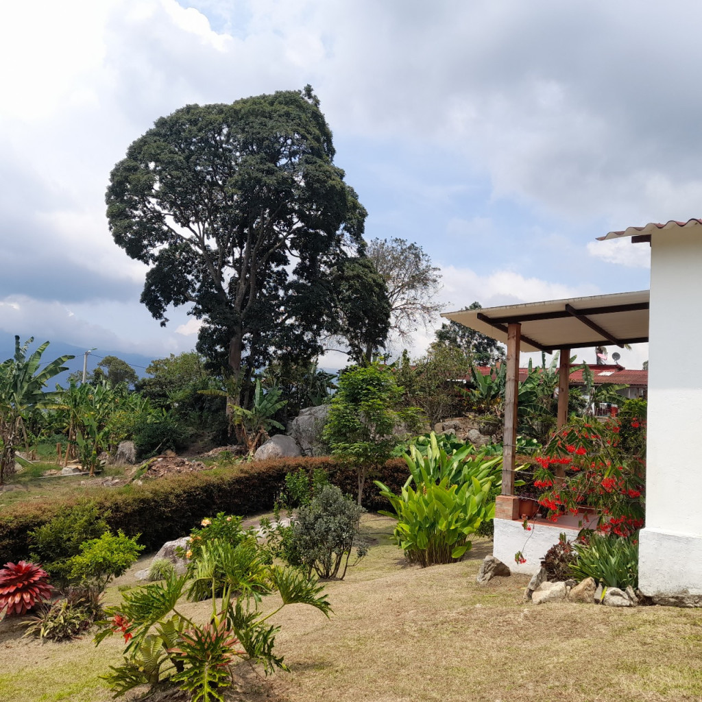 Finca En Venta - Finca Villa Rosita, Fusagasugá
