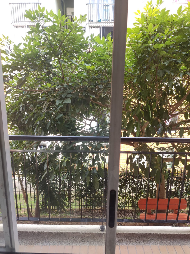 Apartamento En Venta - Arboleda Campestre Los Cambulos Piso 2, Ibagué