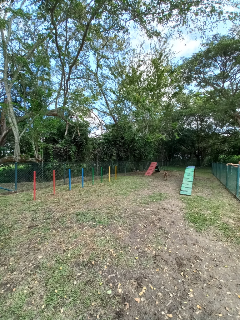 Apartamento En Arriendo - C.r Fontana Campestre Piso 9, Ibagué