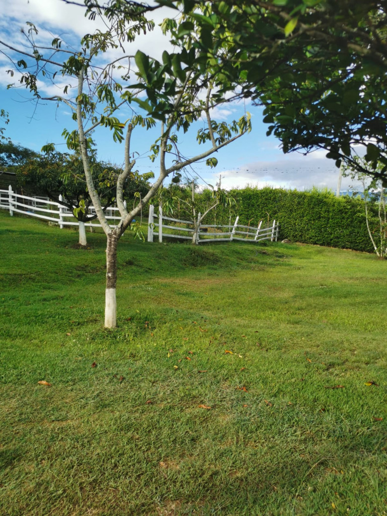 Finca En Venta - Condominio Granja Del Bosque 1 Via Tibacuy, Fusagasugá