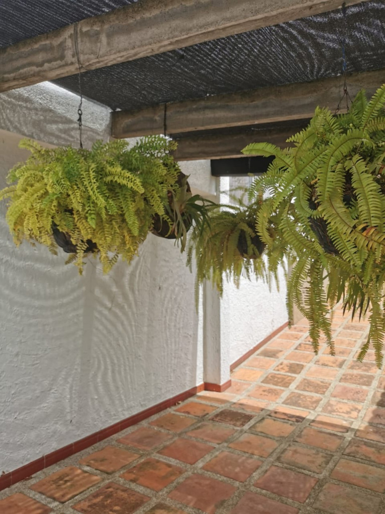 Finca En Venta - Condominio Granja Del Bosque 1 Via Tibacuy, Fusagasugá