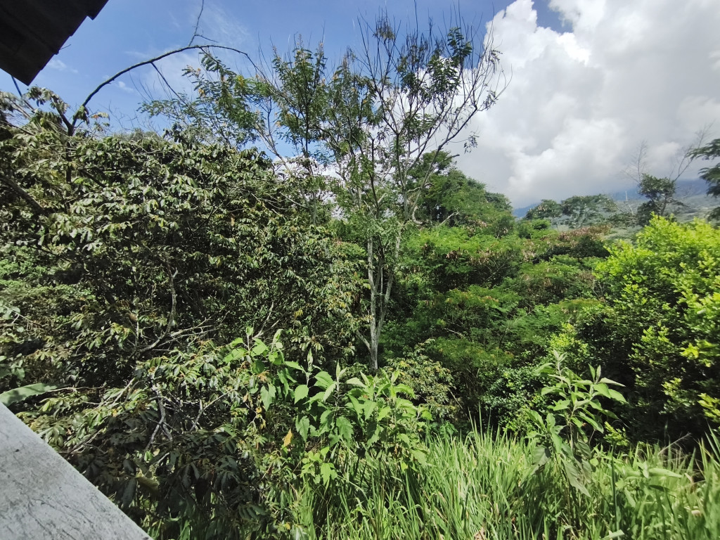 Casa En Venta - Conjunto Cerrado Brisas Del Bosques, Fusagasugá