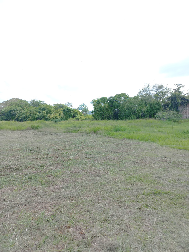 Lote En Venta - Vereda Monterredondo- Barrio La Miel, Ibagué