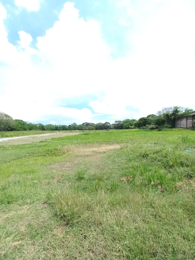 Lote En Venta - Vereda Monterredondo- Barrio La Miel, Ibagué