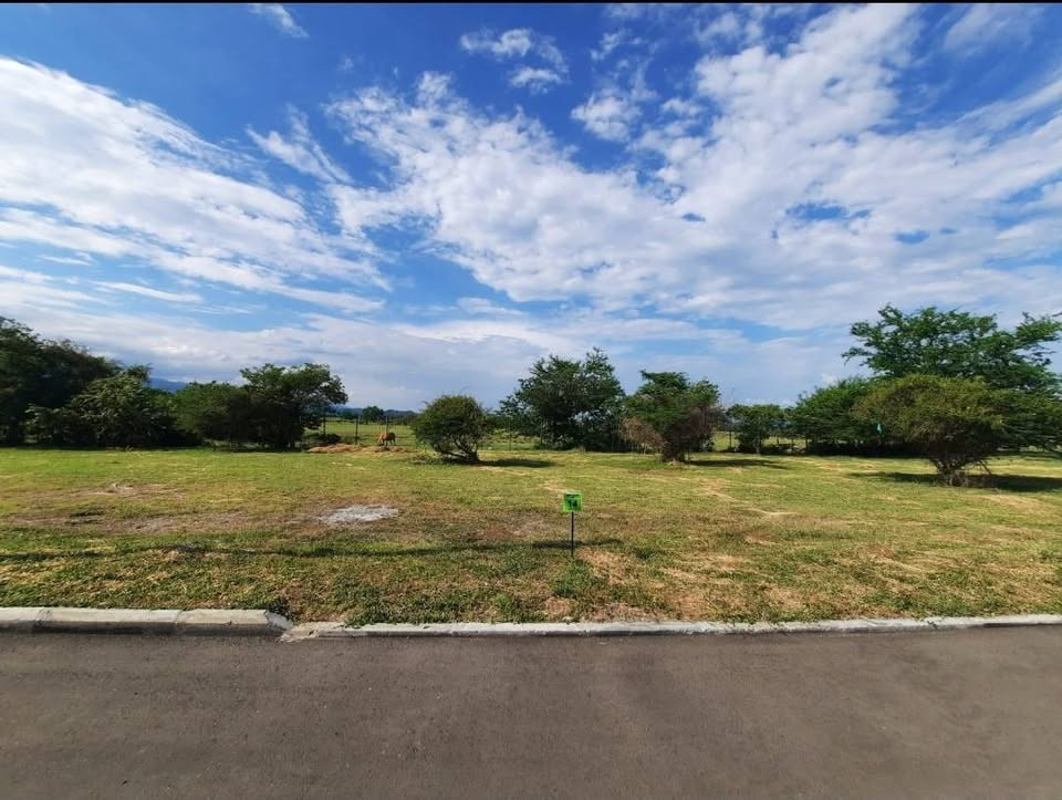 Lote En Venta - Condominio Arizona Country Club Ii, Alvarado