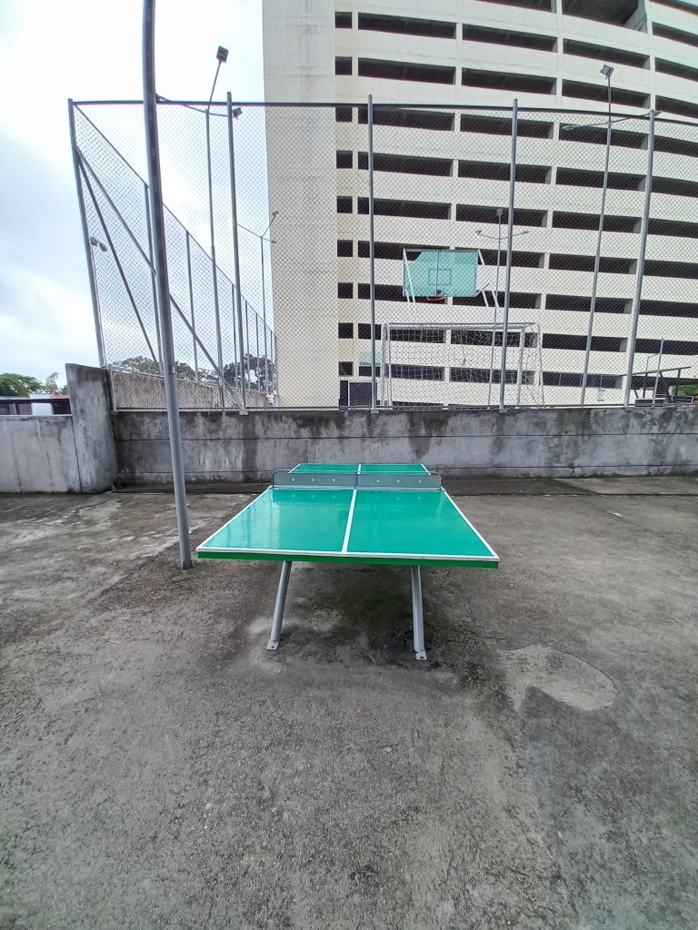 Apartamento En Arriendo - Flor Alba Campestre Piso 1, Ibagué