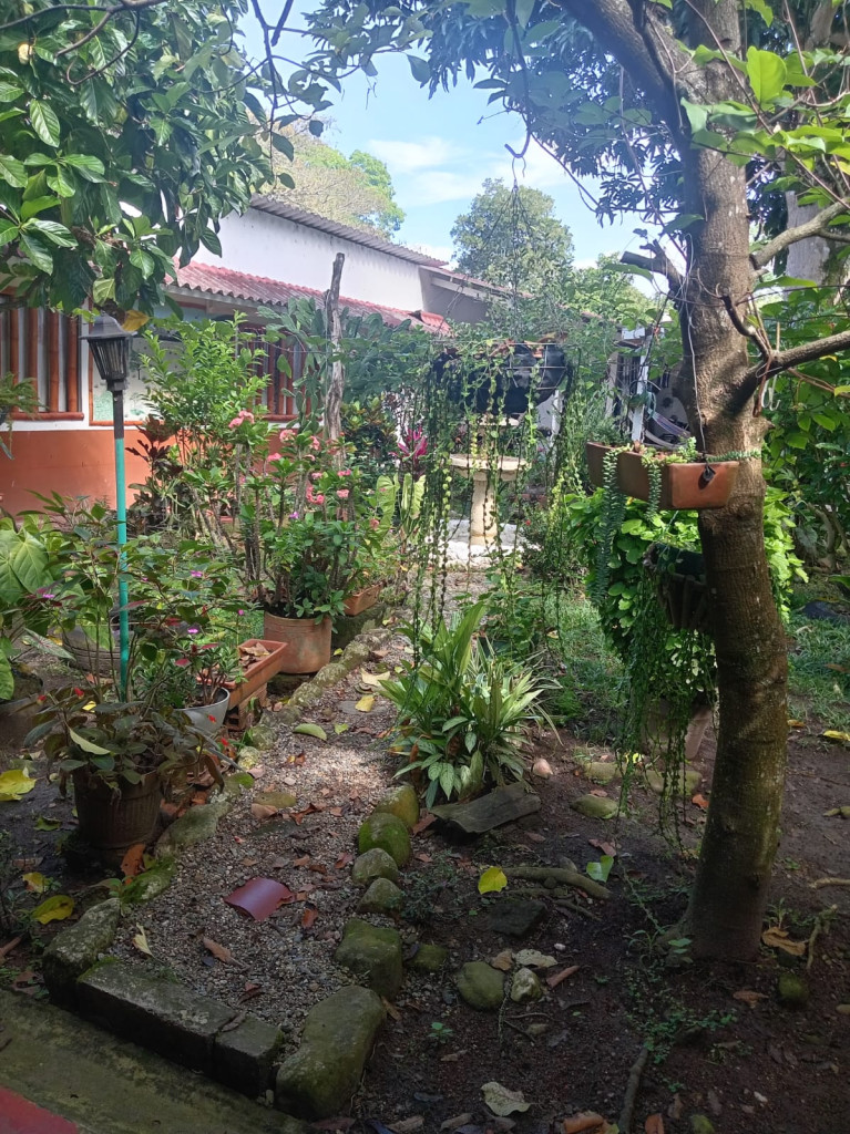 Casalotes En Venta - Vereda La Vega Fraccion Combeima-Totumo, Ibagué