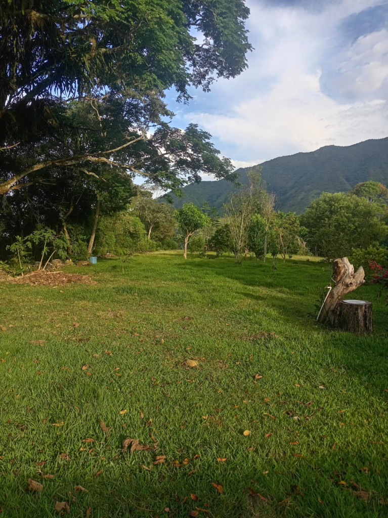 Casalotes En Venta - Vereda La Vega Fraccion Combeima-Totumo, Ibagué