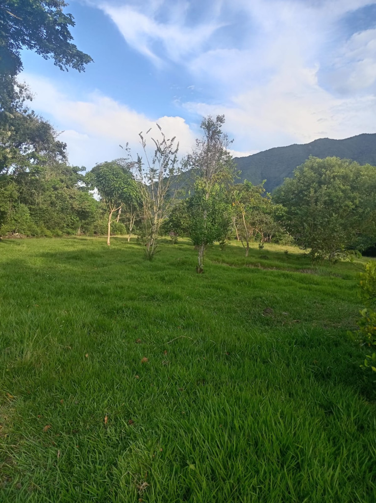 Casalotes En Venta - Vereda La Vega Fraccion Combeima-Totumo, Ibagué