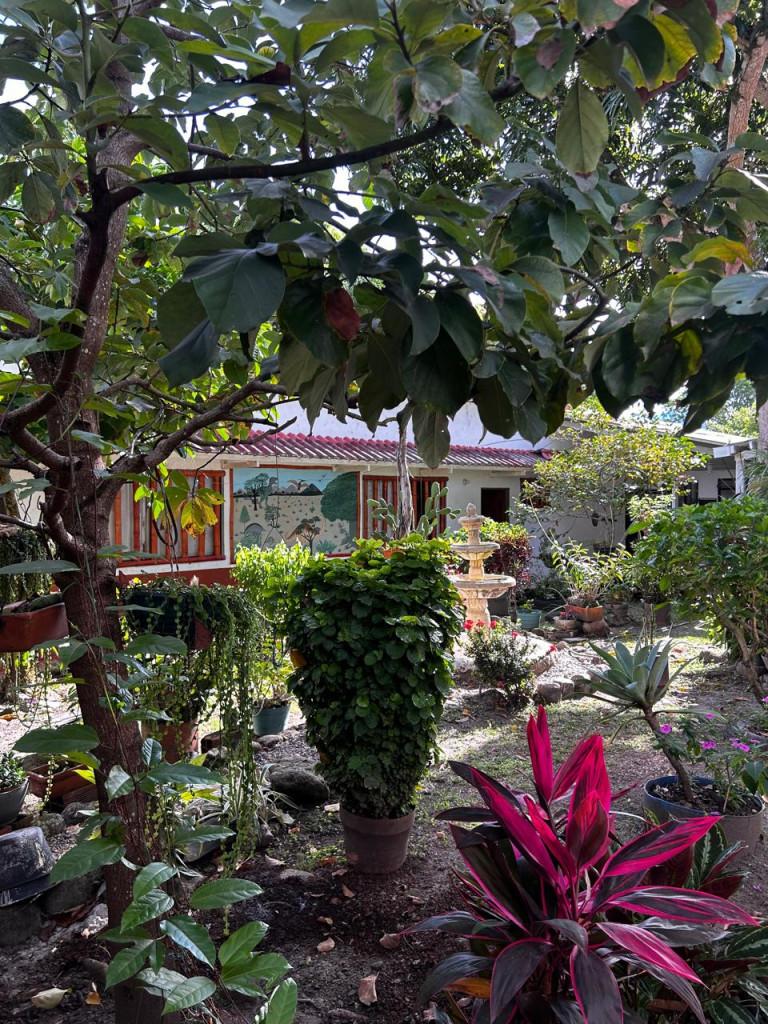 Casalotes En Venta - Vereda La Vega Fraccion Combeima-Totumo, Ibagué