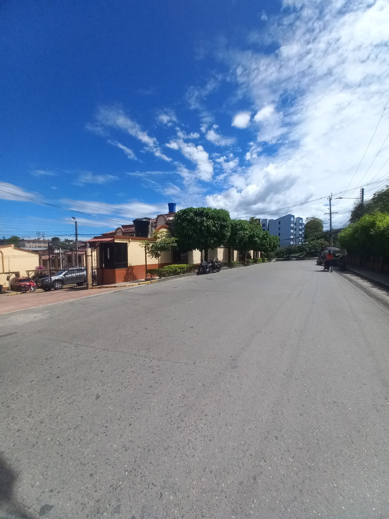 Casa En Arriendo - Conjunto Cerrado El Palmar Ii, Ibagué