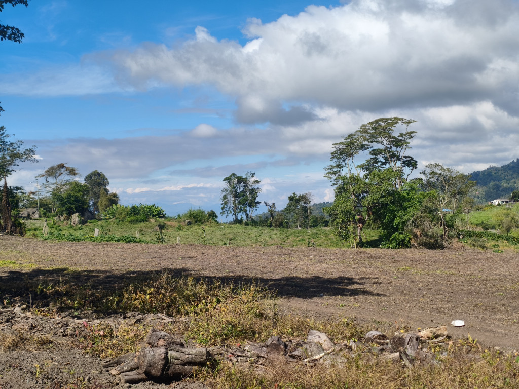 Finca En Venta - Subia Alta - El Triunfo, Silvania