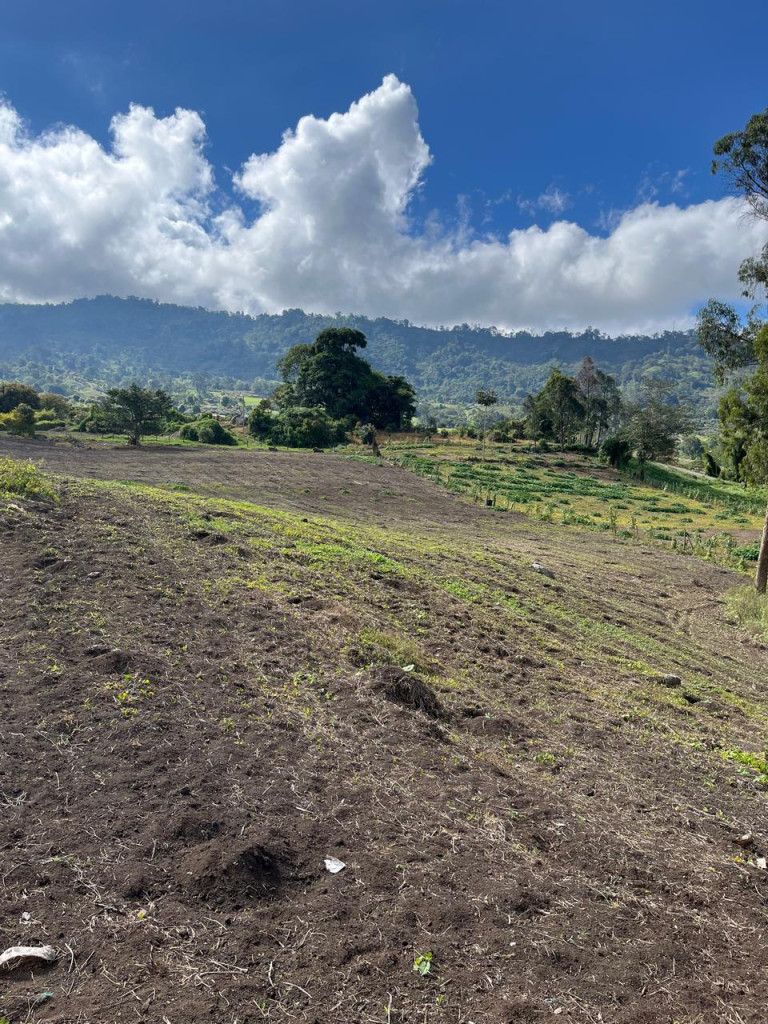 Finca En Venta - Subia Alta - El Triunfo, Silvania