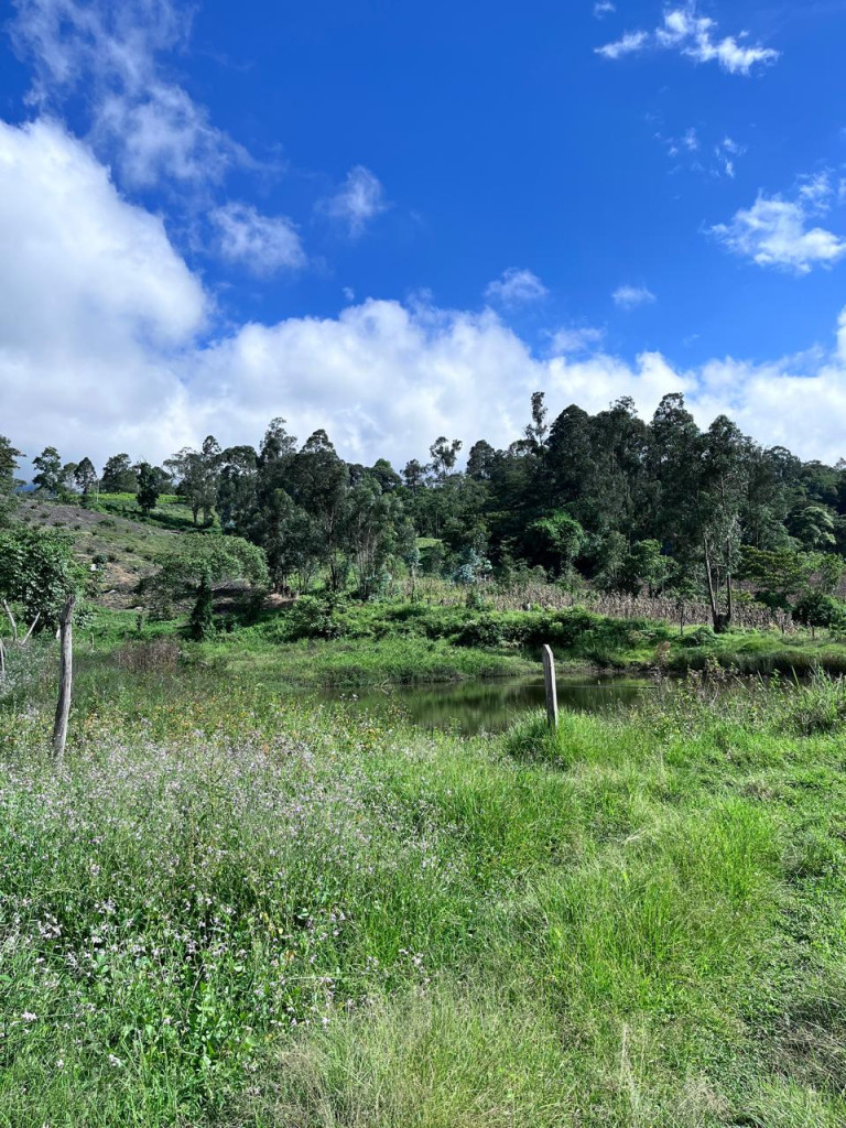 Finca En Venta - Subia Alta - El Triunfo, Silvania