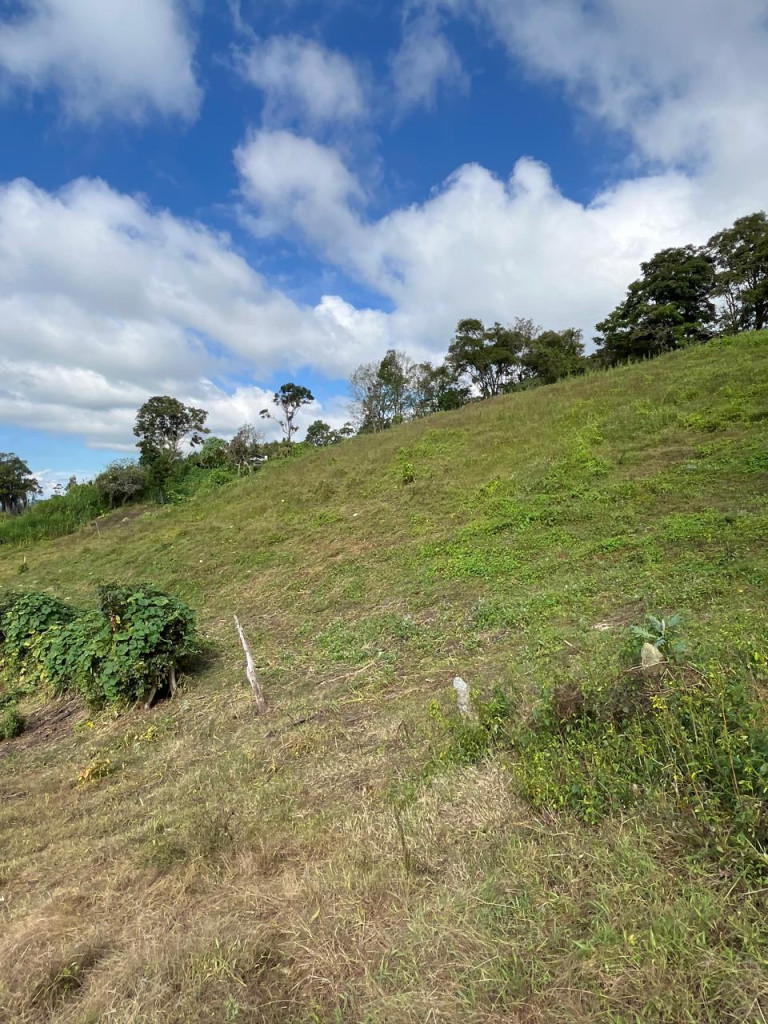 Finca En Venta - Subia Alta - El Triunfo, Silvania
