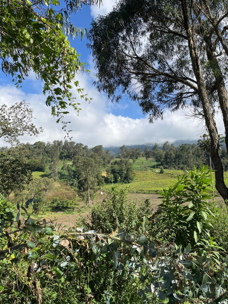 Finca En Venta - Subia Alta - El Triunfo, Silvania