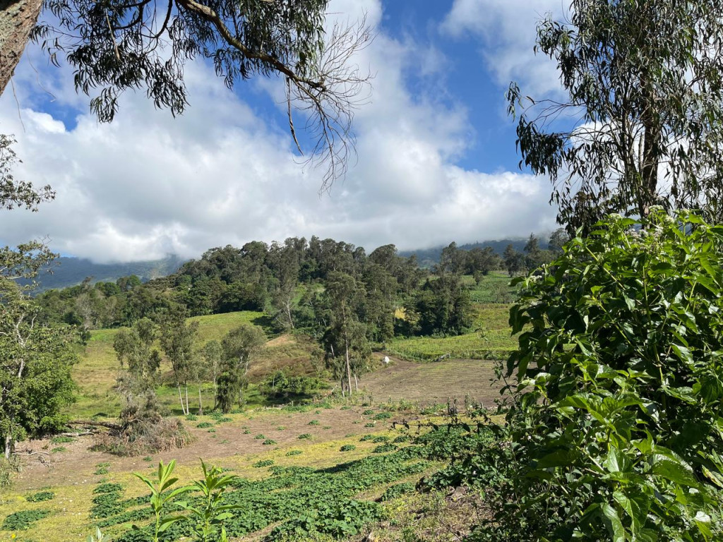 Finca En Venta - Subia Alta - El Triunfo, Silvania
