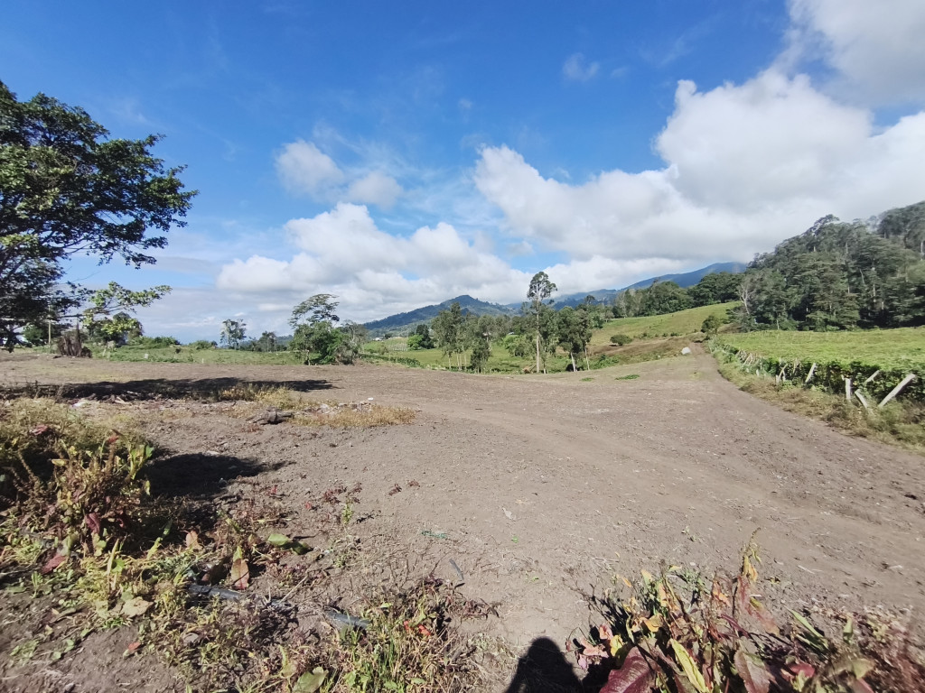 Finca En Venta - Subia Alta - El Triunfo, Silvania
