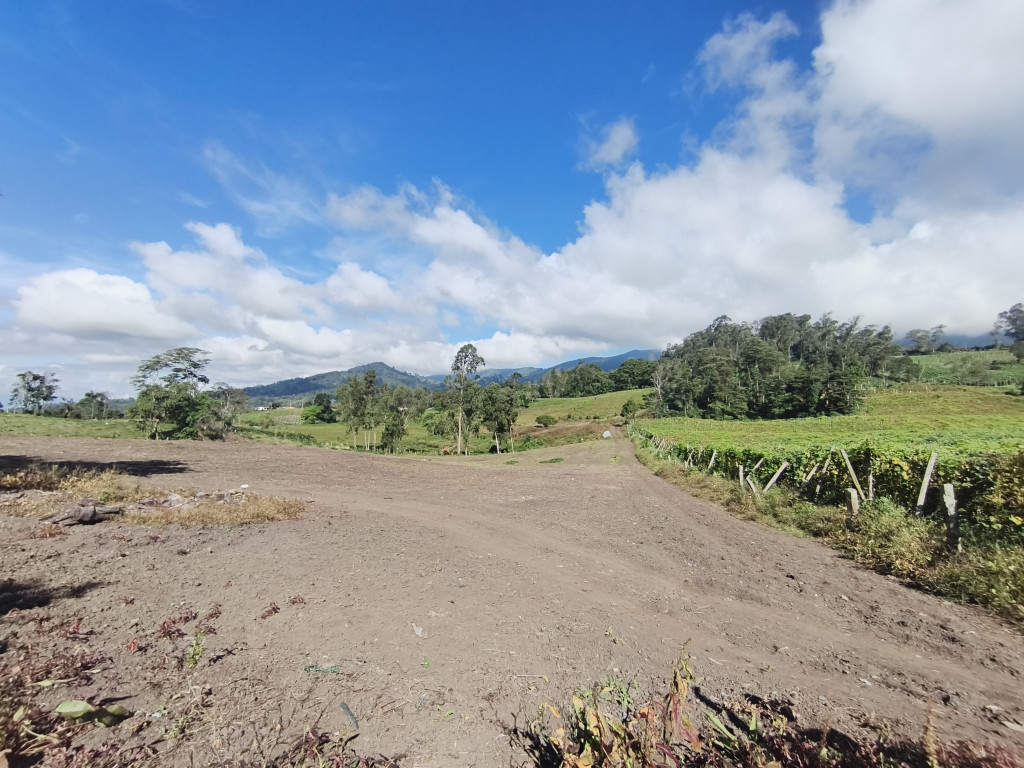 Finca En Venta - Subia Alta - El Triunfo, Silvania