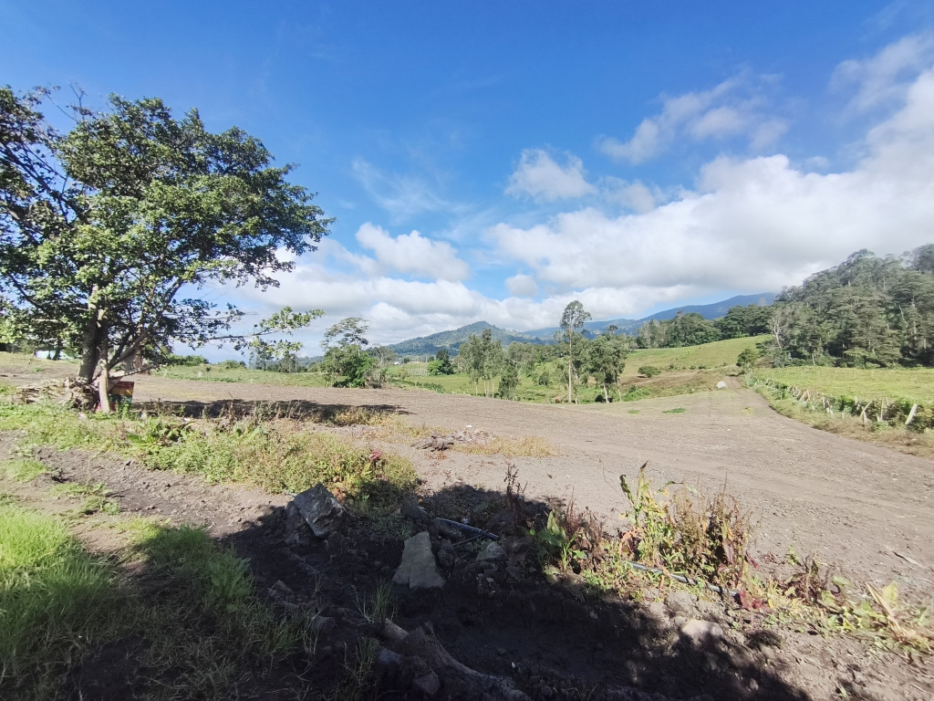 Finca En Venta - Subia Alta - El Triunfo, Silvania