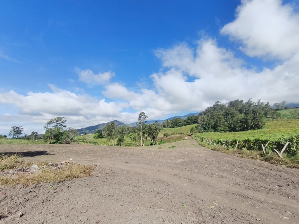 Finca En Venta - Subia Alta - El Triunfo, Silvania