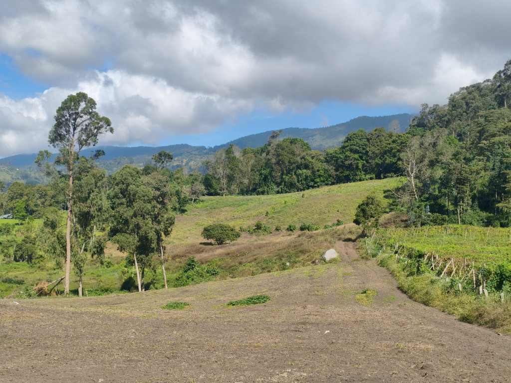 Finca En Venta - Subia Alta - El Triunfo, Silvania