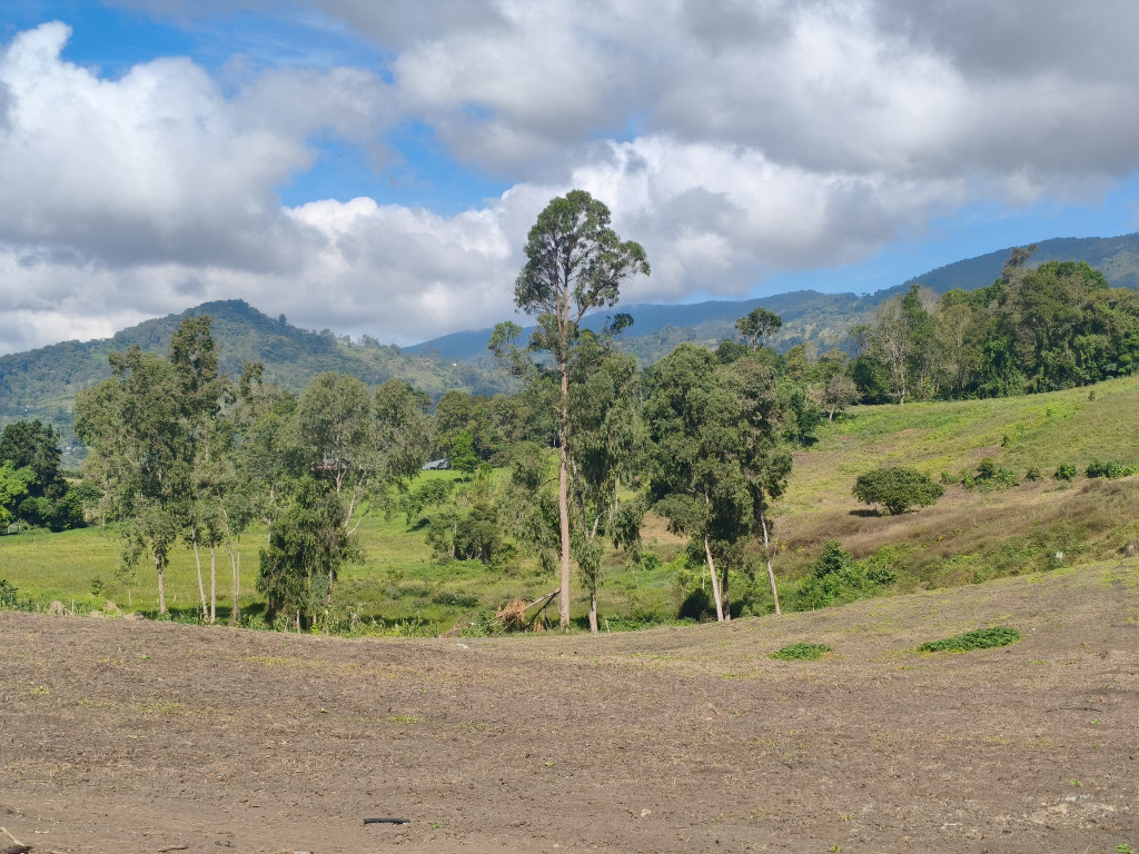 Finca En Venta - Subia Alta - El Triunfo, Silvania