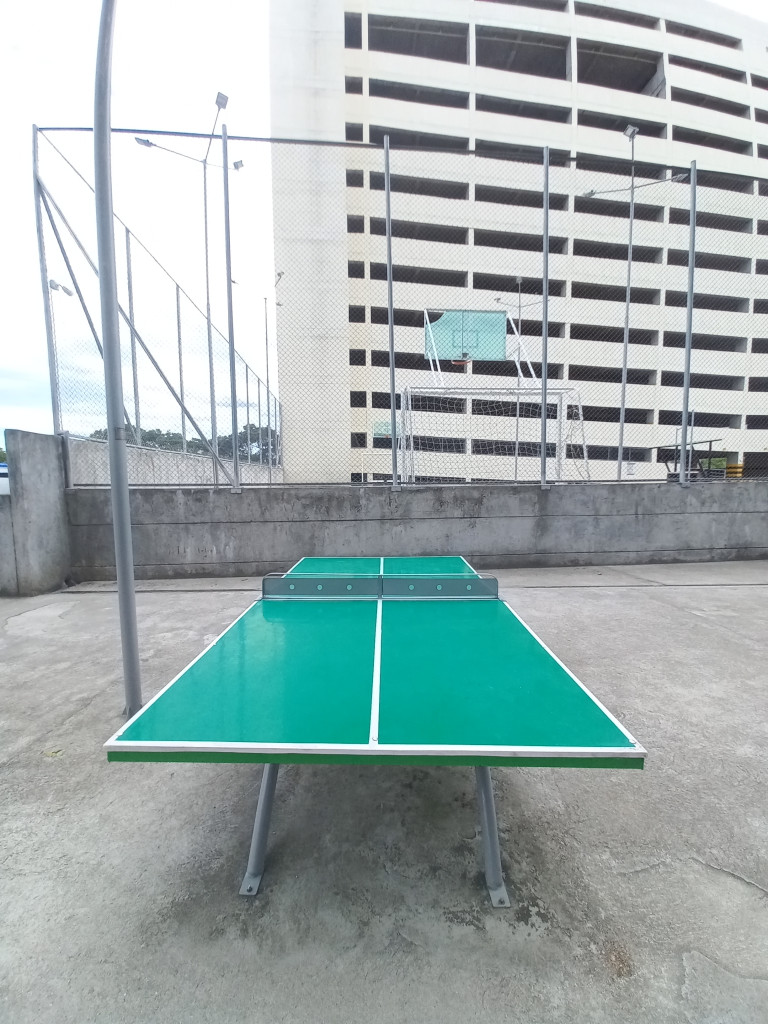 Apartamento En Arriendo - Flor Alba Campestre Piso 9, Ibagué