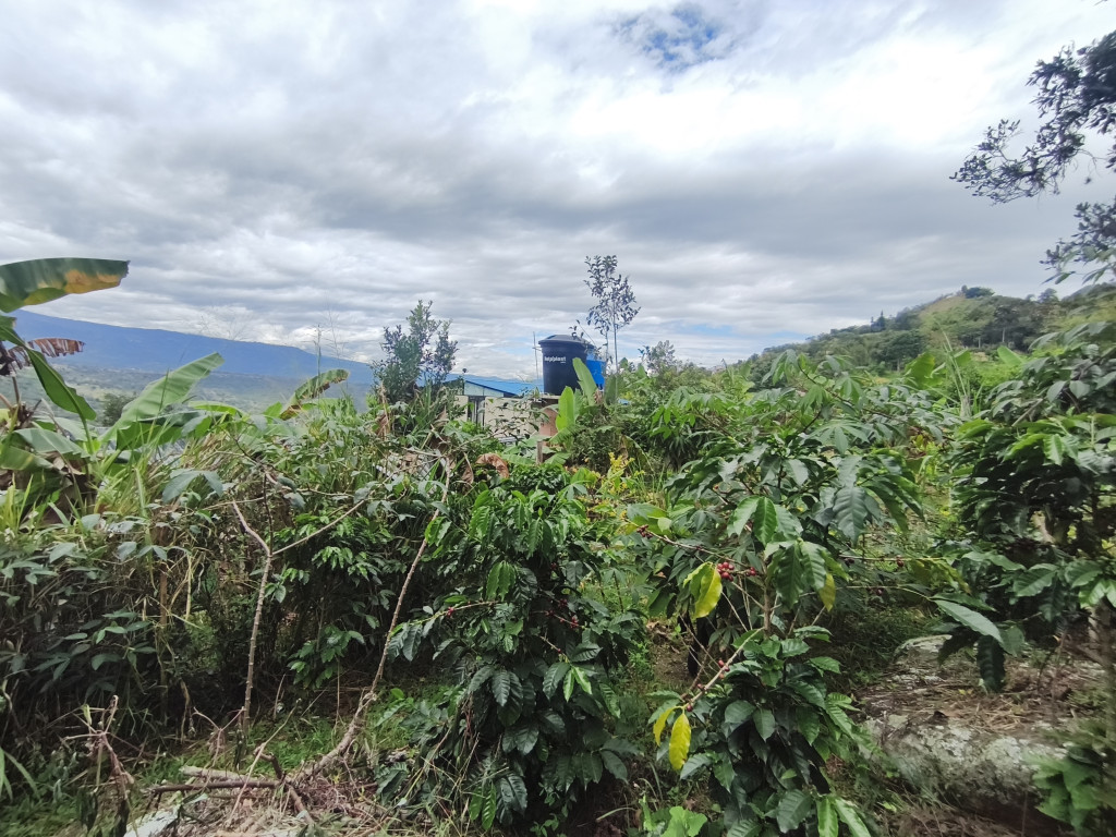 Lote En Venta - Vereda Siberia - Via La Portada, Tibacuy