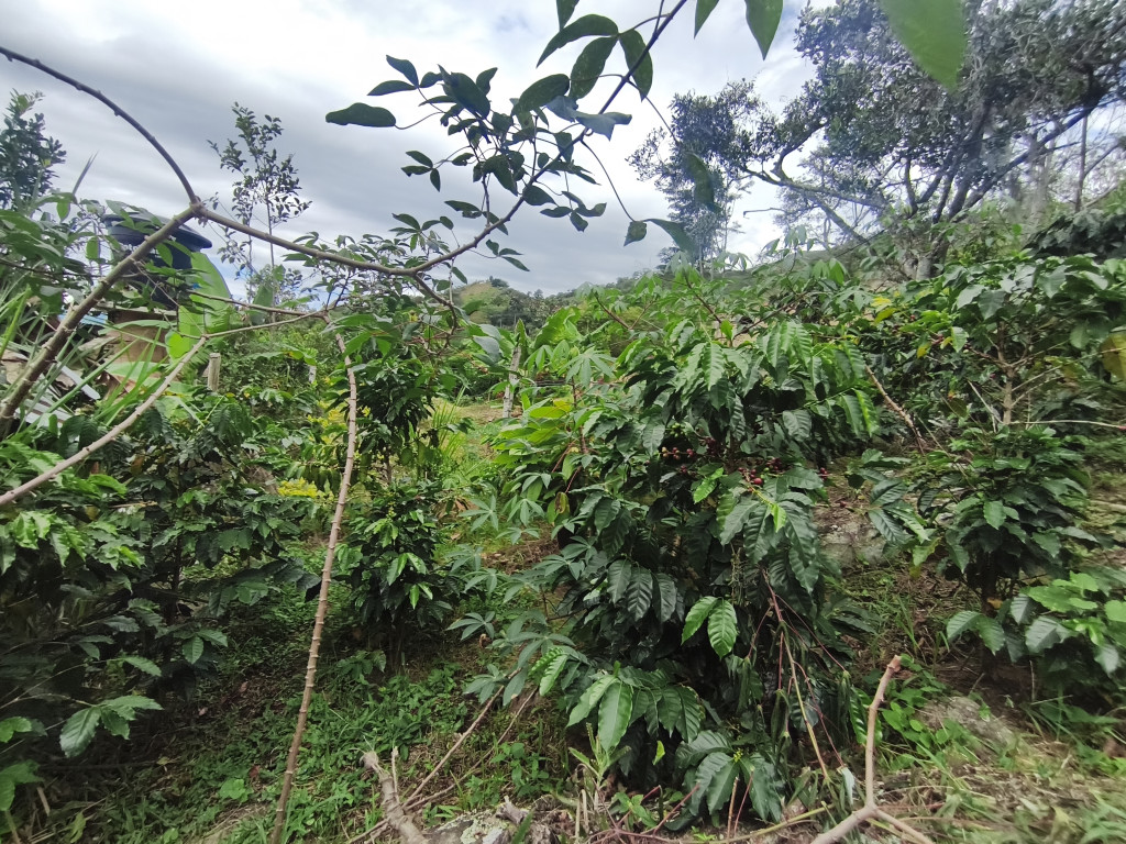 Lote En Venta - Vereda Siberia - Via La Portada, Tibacuy