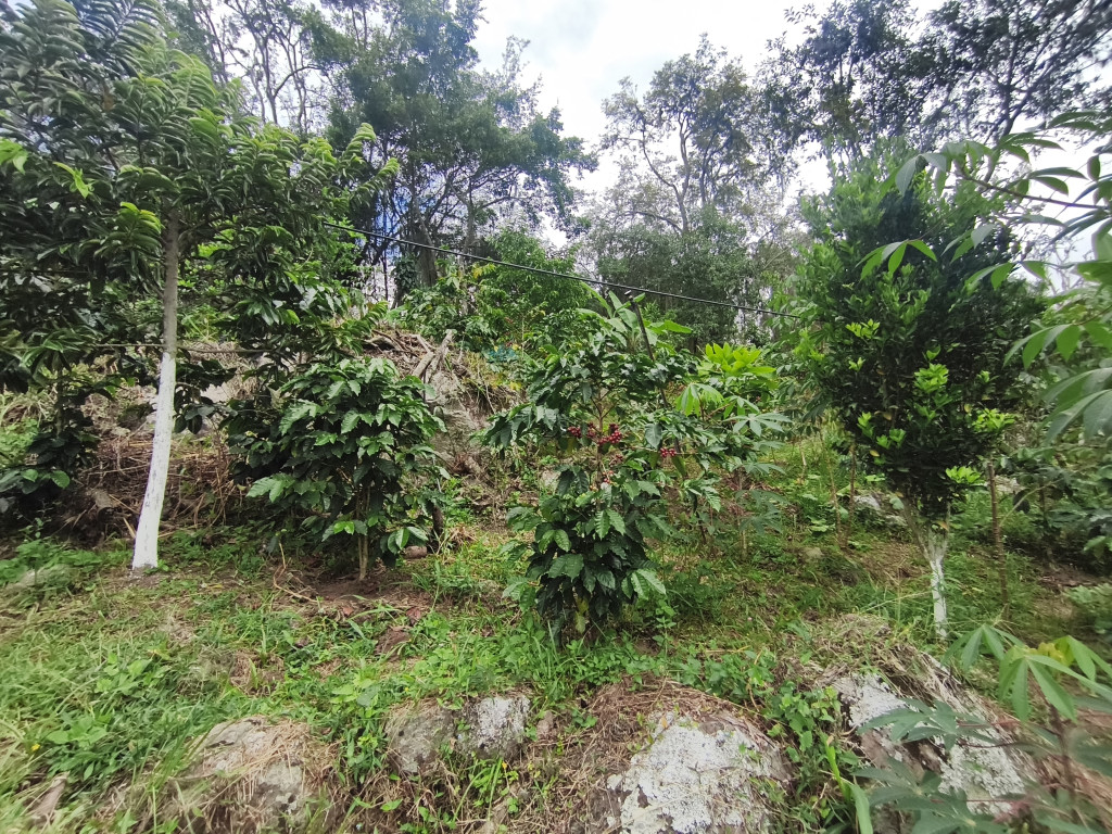 Lote En Venta - Vereda Siberia - Via La Portada, Tibacuy