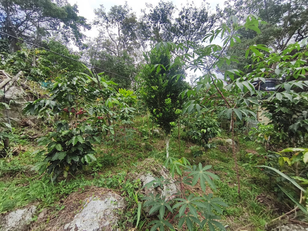 Lote En Venta - Vereda Siberia - Via La Portada, Tibacuy