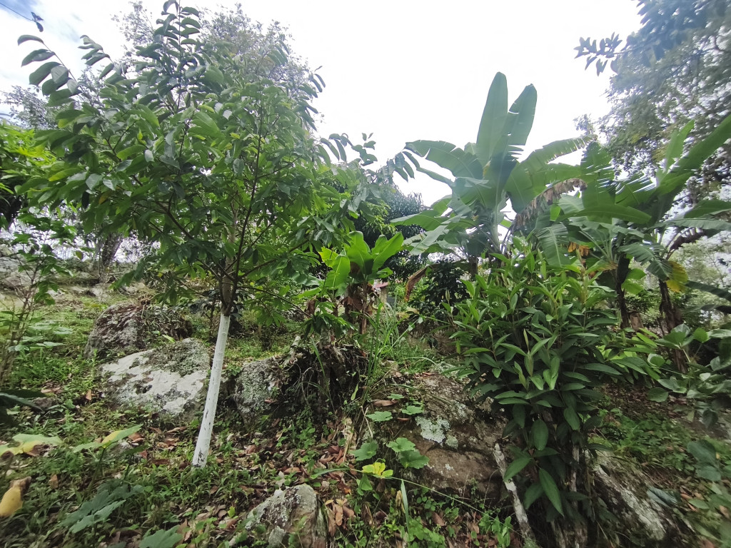 Lote En Venta - Vereda Siberia - Via La Portada, Tibacuy