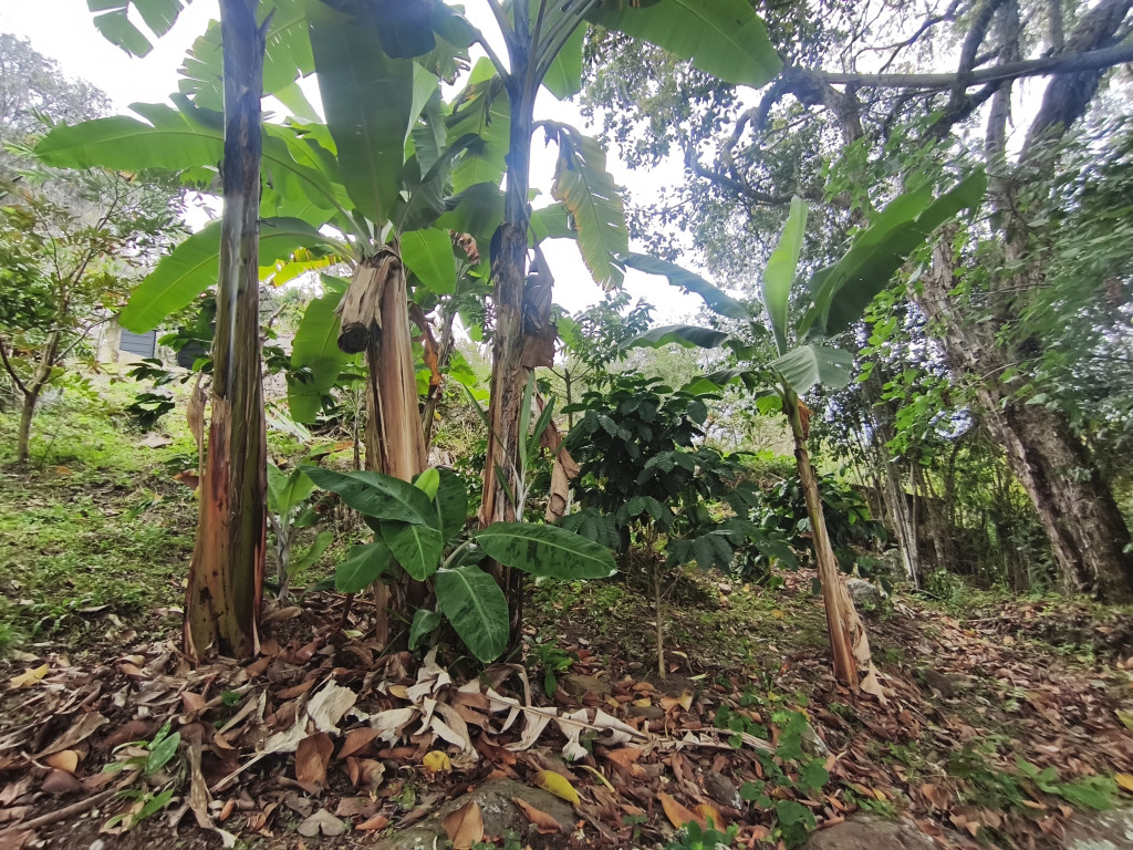 Lote En Venta - Vereda Siberia - Via La Portada, Tibacuy