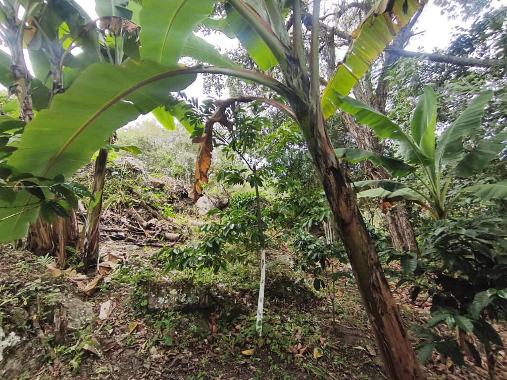 Lote En Venta - Vereda Siberia - Via La Portada, Tibacuy