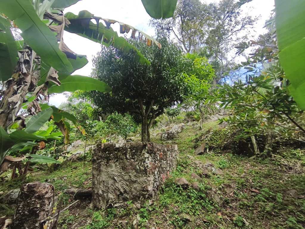 Lote En Venta - Vereda Siberia - Via La Portada, Tibacuy