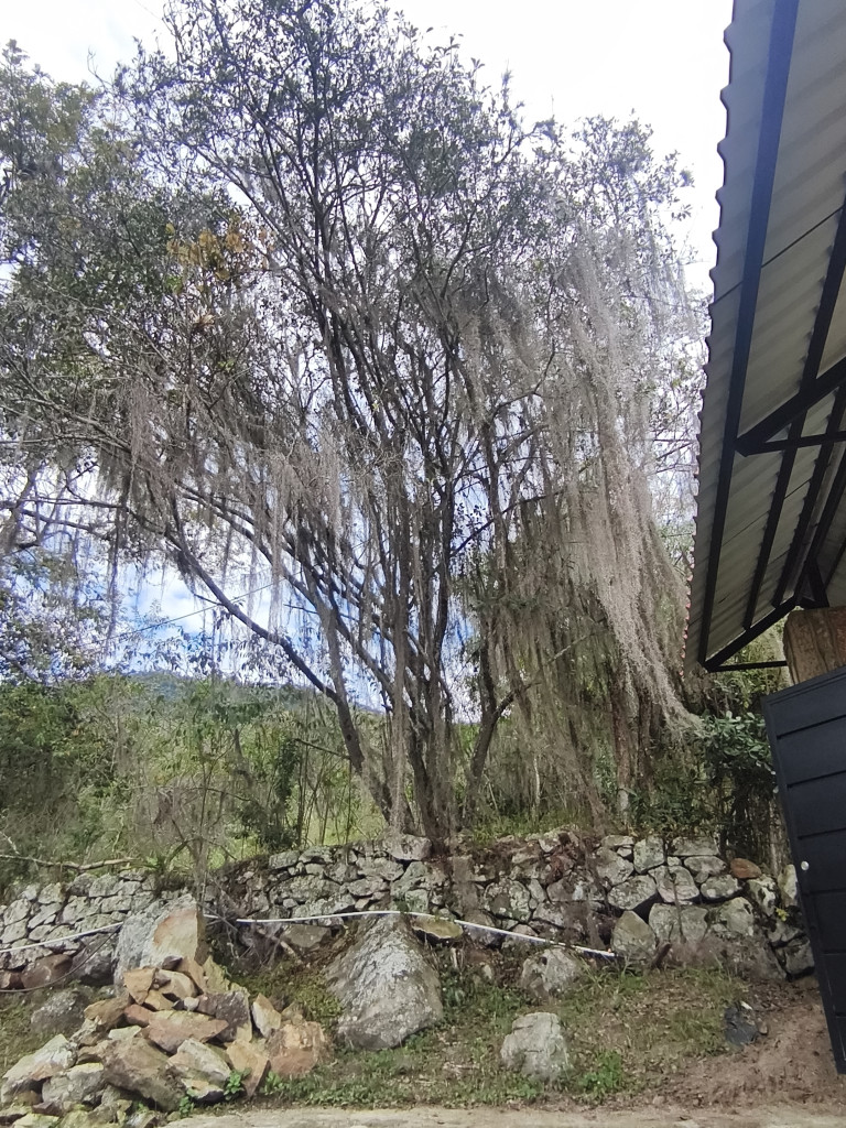 Lote En Venta - Vereda Siberia - Via La Portada, Tibacuy
