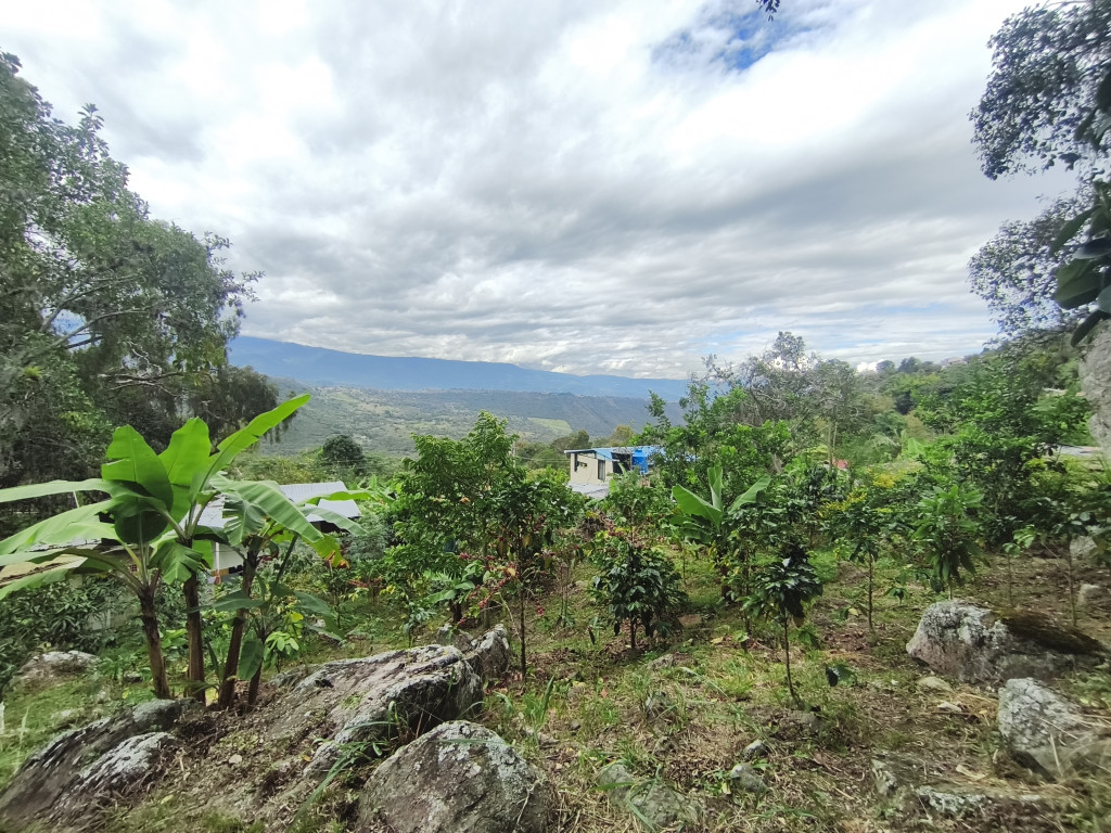 Lote En Venta - Vereda Siberia - Via La Portada, Tibacuy