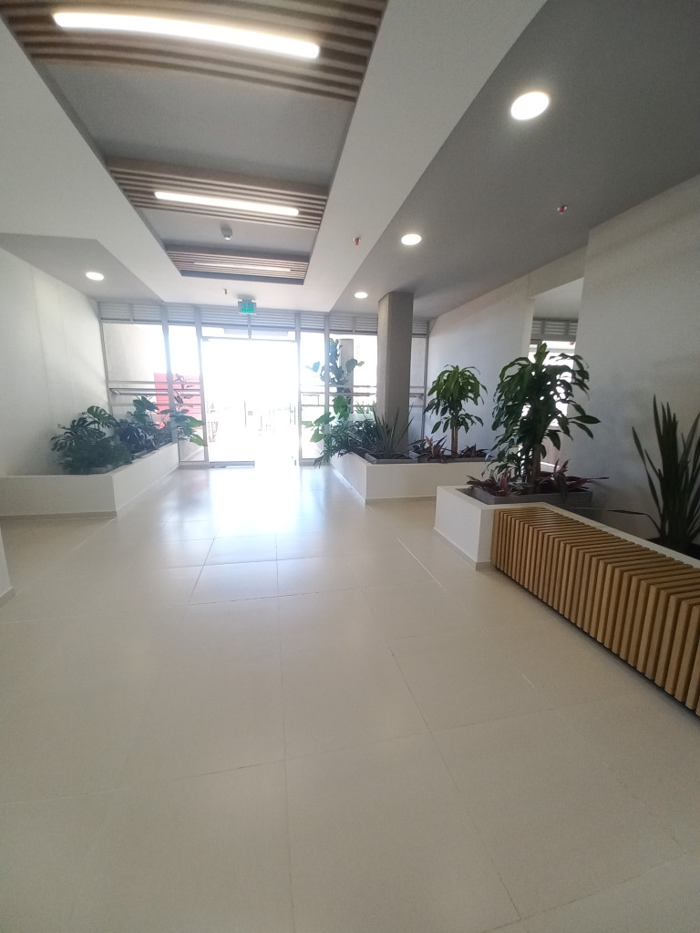 Apartamento En Arriendo - Conjunto Residencial Bambu Piso 7, Ibagué