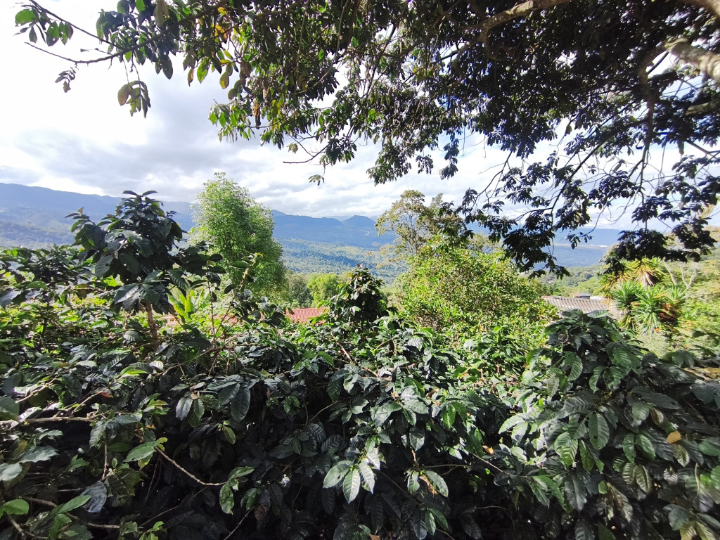 Casalotes En Venta - Sector Azafranal  Vereda Cumbre Via Los Pinos, Silvania