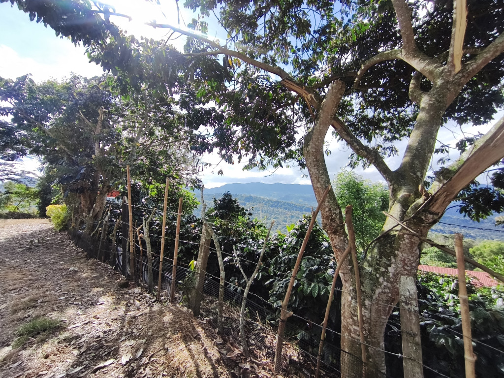 Casalotes En Venta - Sector Azafranal  Vereda Cumbre Via Los Pinos, Silvania