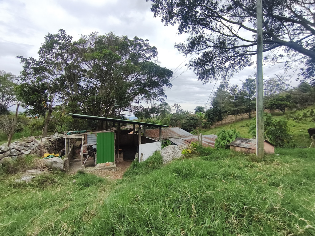 Finca En Venta - Vereda Bochica Finca Canayma, Fusagasugá