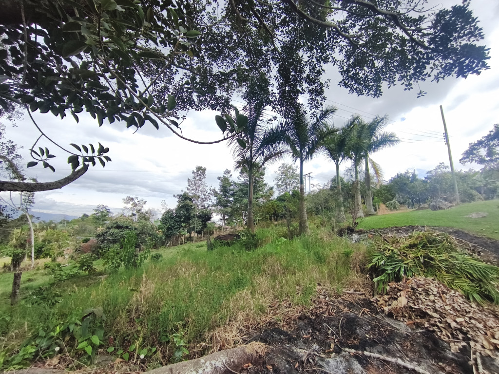 Finca En Venta - Vereda Bochica Finca Canayma, Fusagasugá