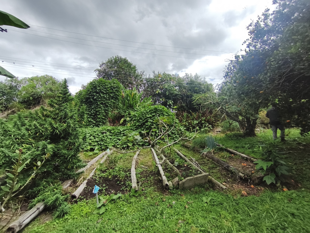Finca En Venta - Vereda Bochica Finca Canayma, Fusagasugá