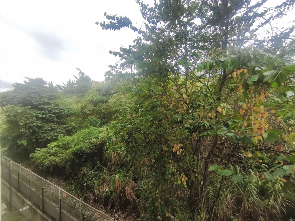 Apartamento En Arriendo - Reserva Las Mercedes Mz 1 Piso 4, Fusagasugá